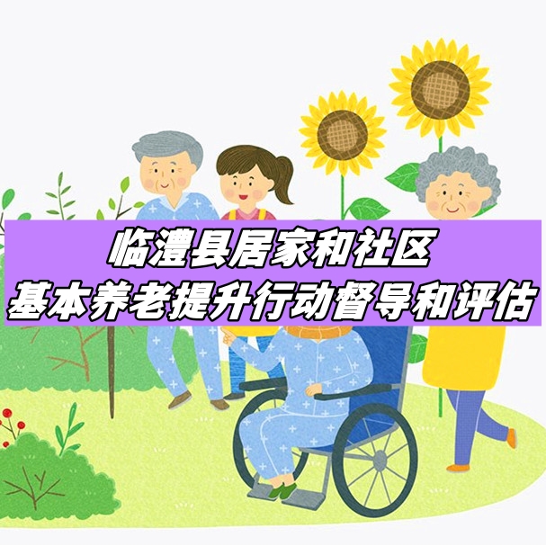 2023年臨澧縣居家和社區(qū)養(yǎng)老提升行動(dòng)督導(dǎo)和評(píng)估
