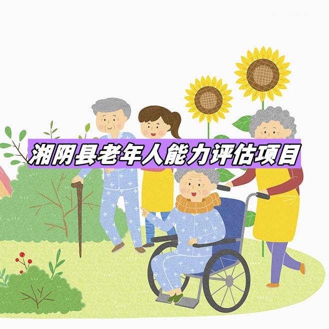 湘阴县老年人能力评估项目